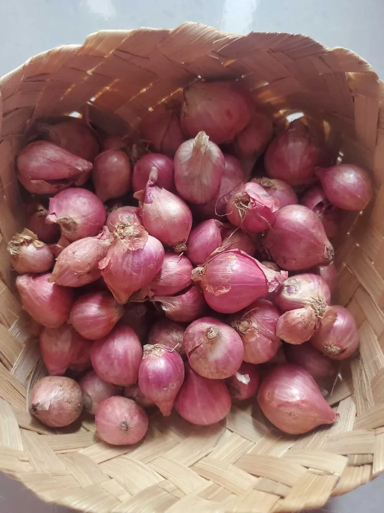 bawang brebes 1 kilo