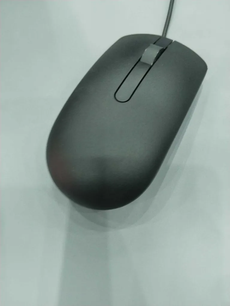 Mouse Dell