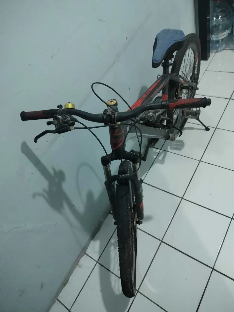 Sepeda gunung Pasific 2