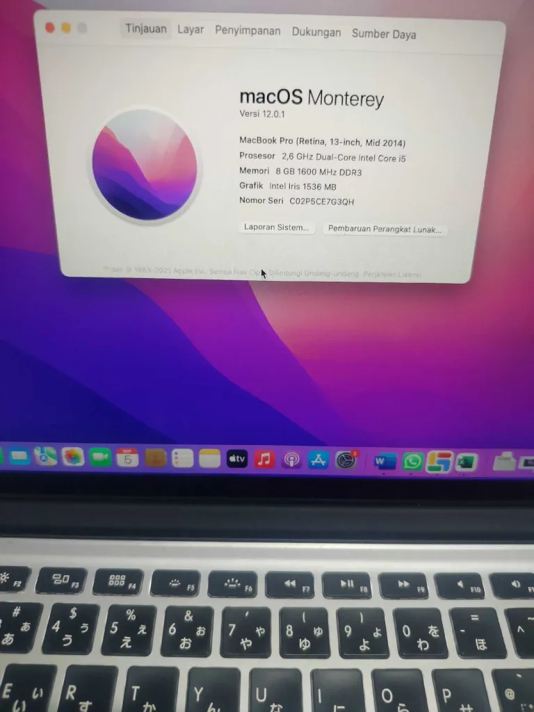 Macbook pro 2014 8gb 1