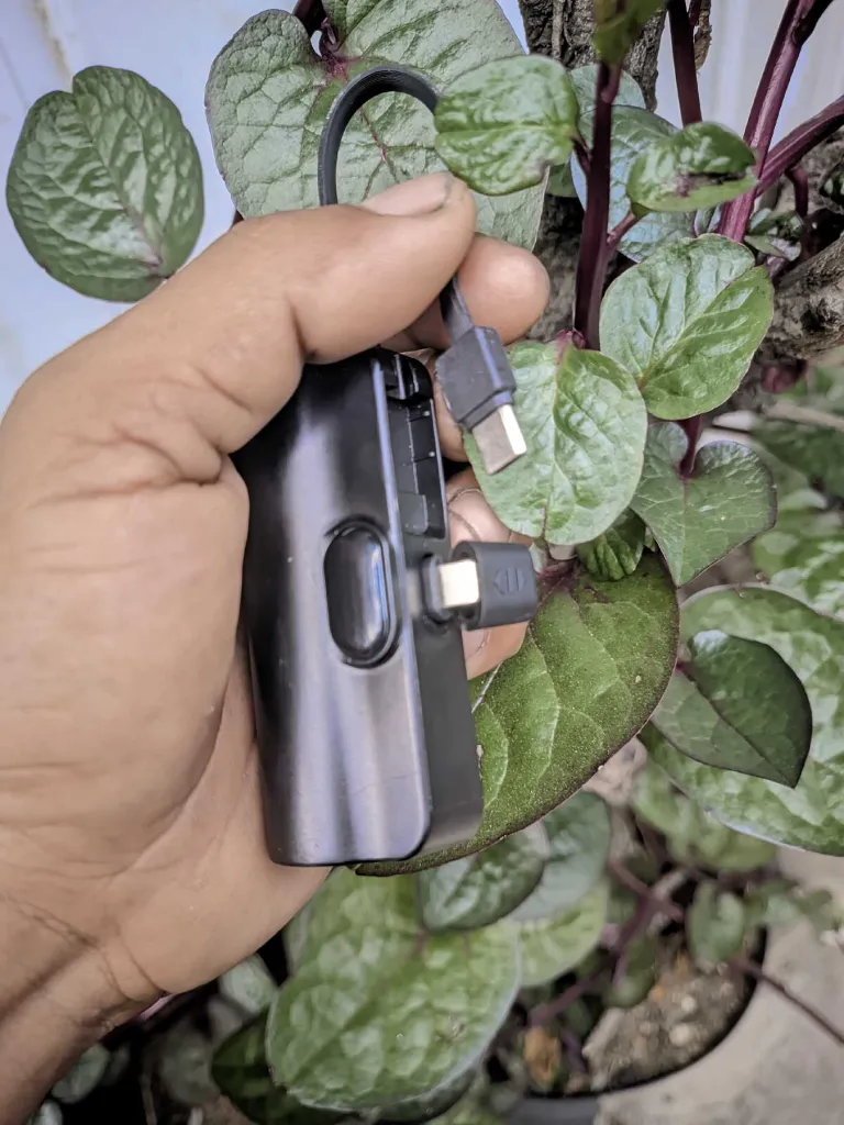 lentiven power Bank 2