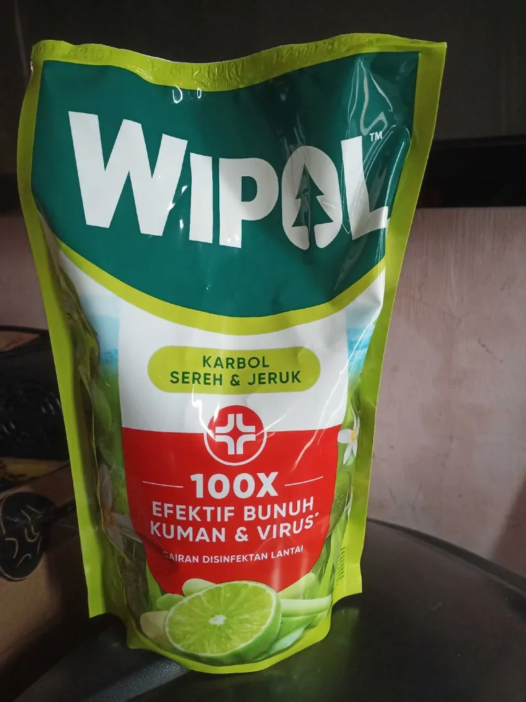 pembersih lantai
