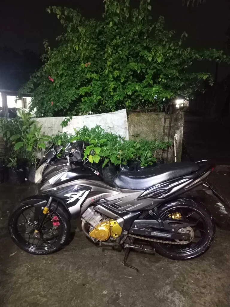 Honda cs1 th 2009 2
