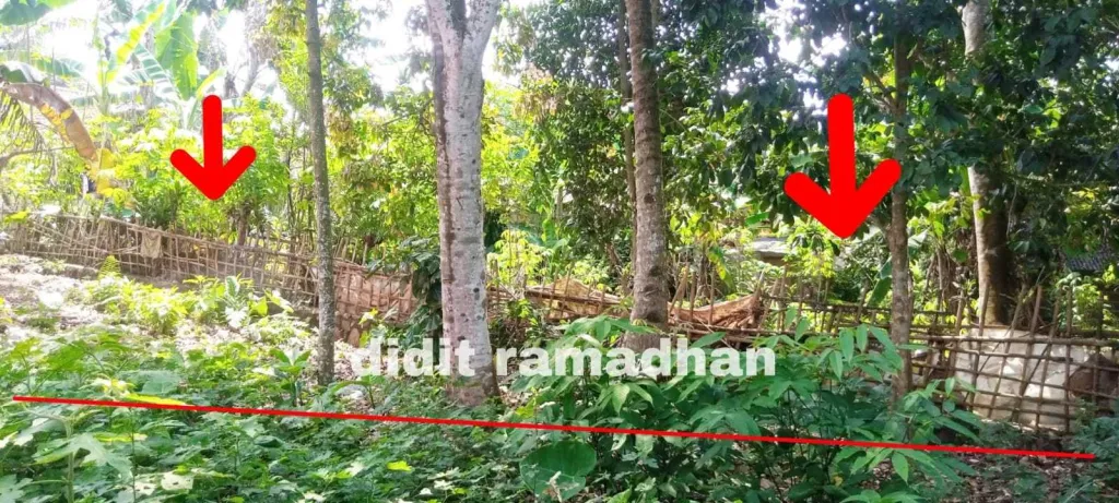 Jual Tanah 250m 3
