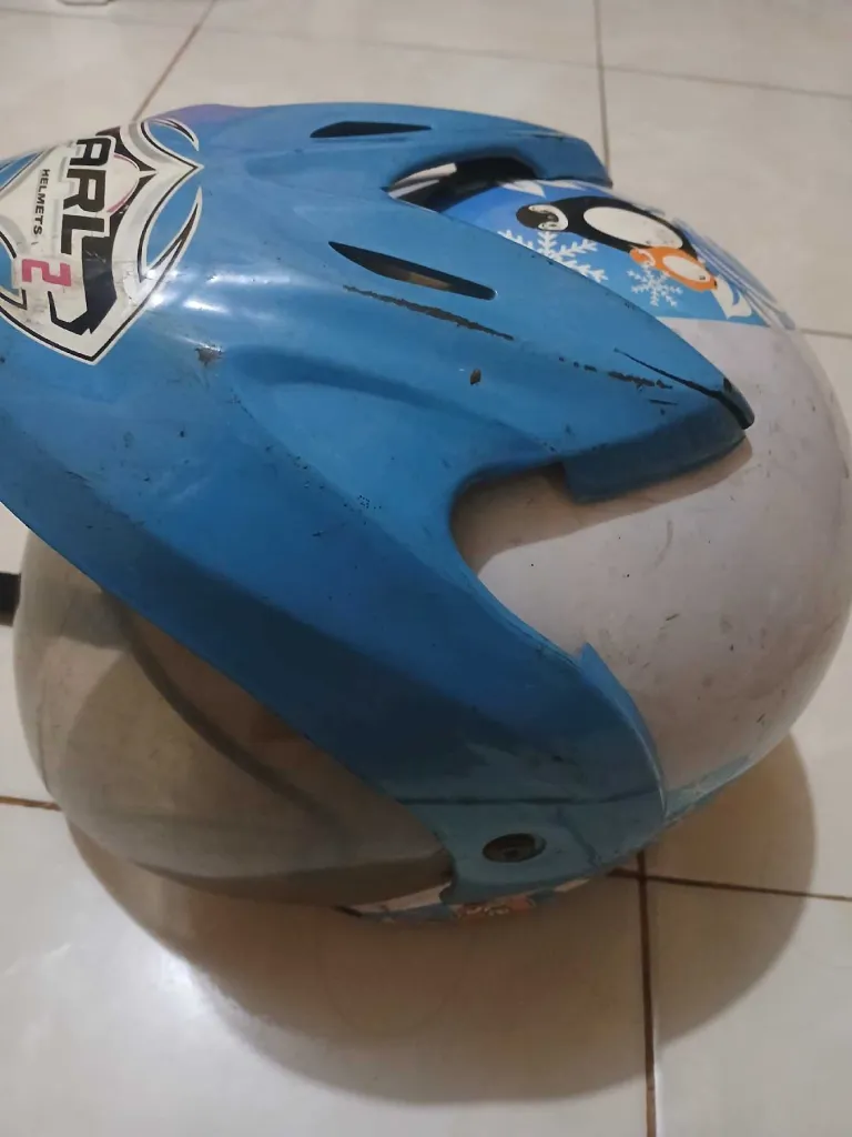 helm pinguin 1